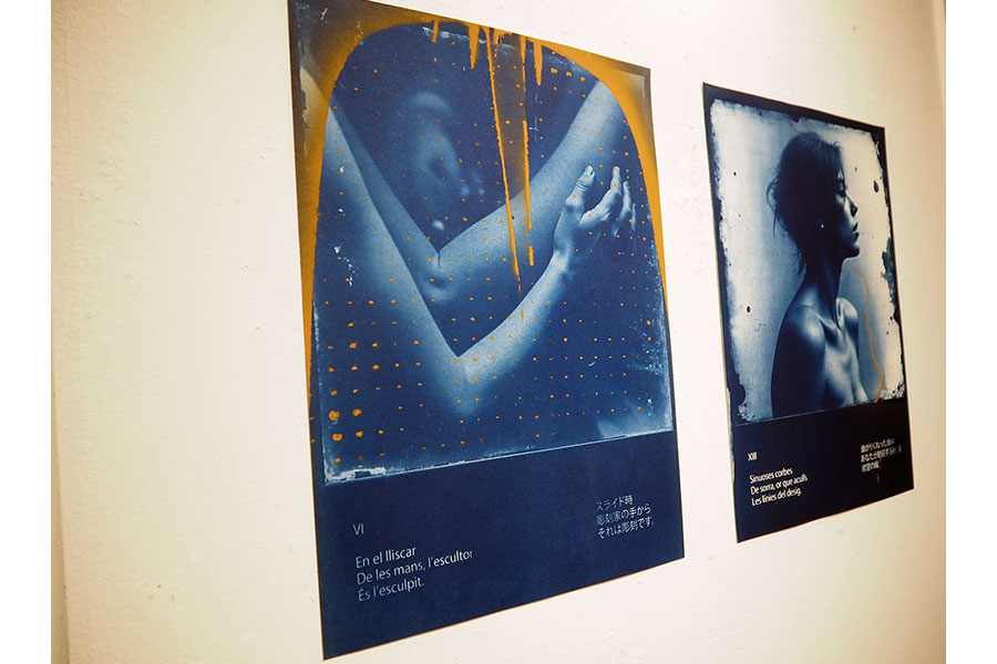 Gallery BIDAMAS HOME