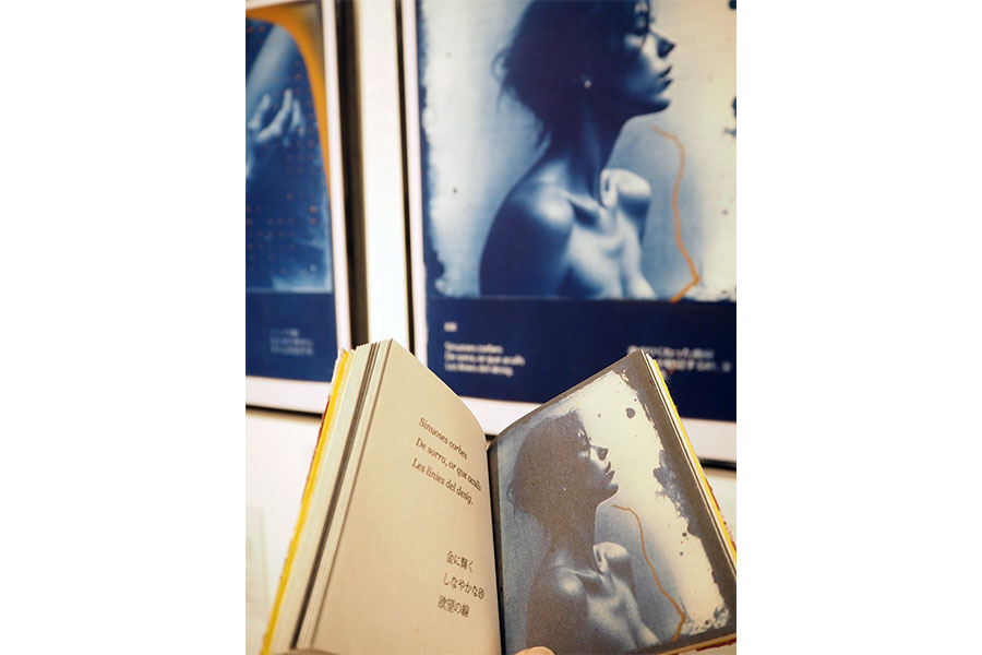 Gallery BIDAMAS HOME