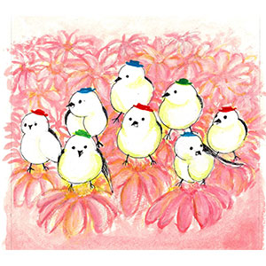 Gallery BIDAMAS Ehon Photo