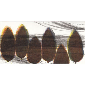 Gallery BIDAMAS Slide Photo