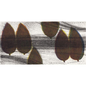 Gallery BIDAMAS Slide Photo