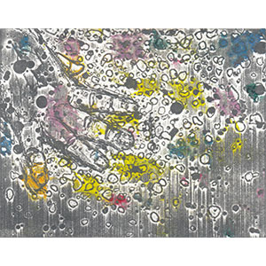 Gallery BIDAMAS Slide Photo