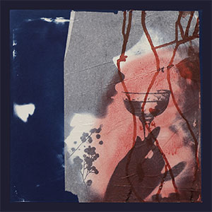 Gallery BIDAMAS Ehon Photo