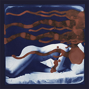 Gallery BIDAMAS Ehon Photo