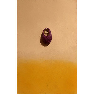 Gallery BIDAMAS Slide Photo