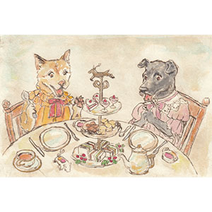 Gallery BIDAMAS Slide Photo