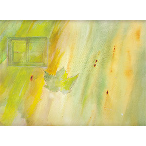 Gallery BIDAMAS Ehon Photo