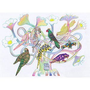 Gallery BIDAMAS Ehon Photo