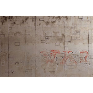 Gallery BIDAMAS Ehon Photo