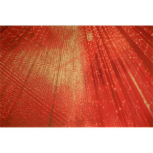 Gallery BIDAMAS Ehon Photo