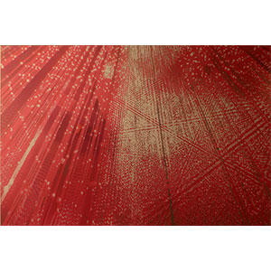 Gallery BIDAMAS Ehon Photo