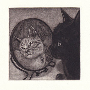 Gallery BIDAMAS Slide Photo