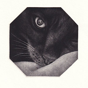 Gallery BIDAMAS Slide Photo