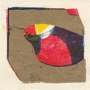 Gallery BIDAMAS Slide Photo